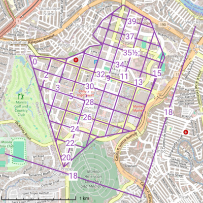 Road number grids seen in Bonifacio Global City